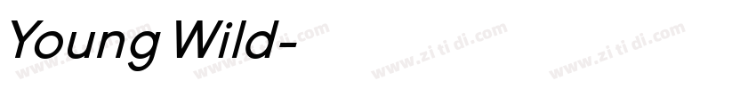 Young Wild字体转换